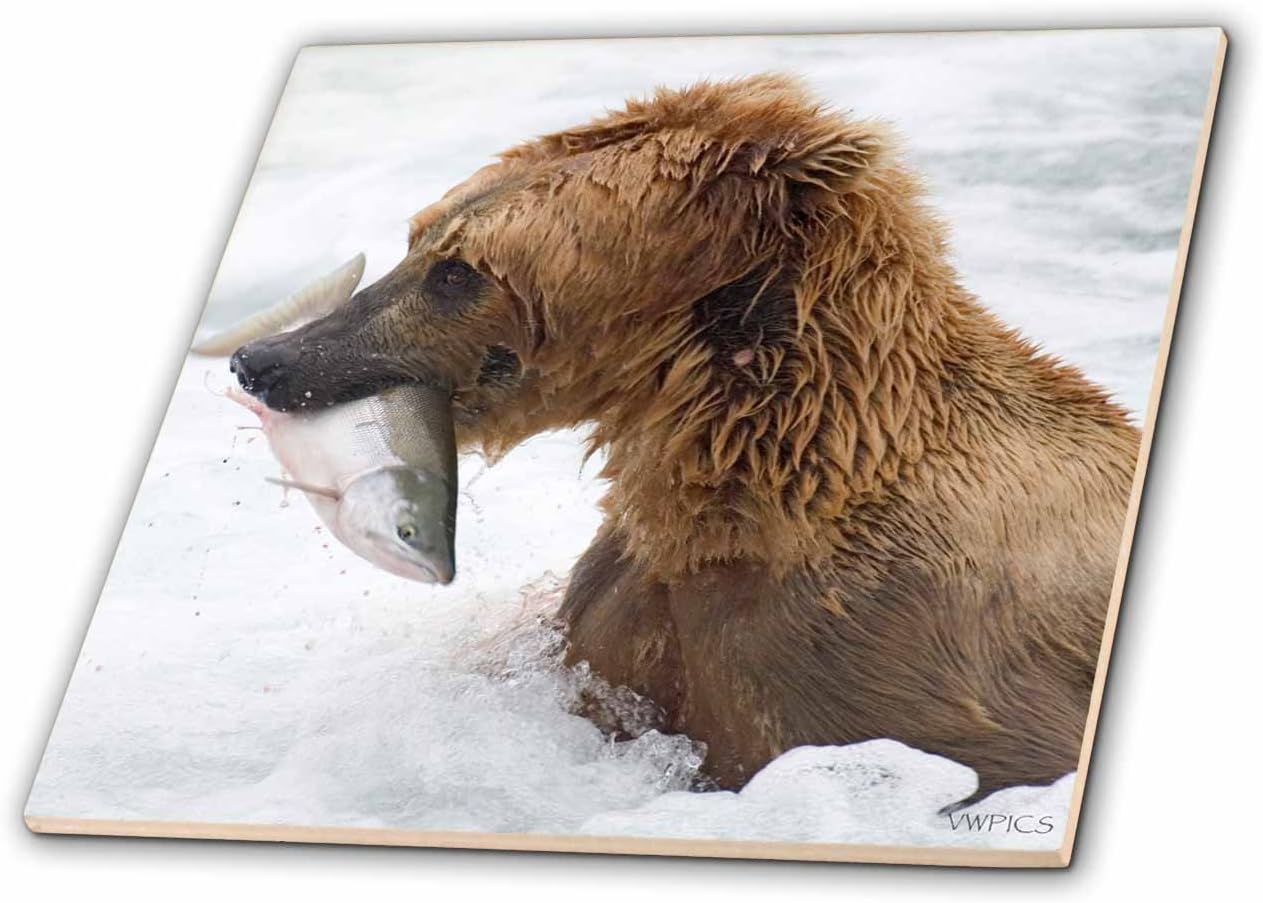 Amazon Co Jp Vwpics Bears ブラウン Grizzly Bear With Salmon Inホワイト水 Closeup カトマイ国立公園 アラスカ タイル 6 Inch Ceramic Ct 2 ホーム キッチン