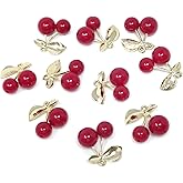 Honbay 10PCS Cute Fruit Pendants Wine Red Big Cherry Charms Pendant Alloy Resin Pendant for Necklaces Earrings Keychains Zipper Pulls Jewelry Making and DIY Crafts
