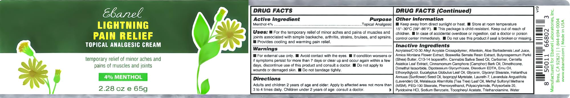 Ebanel Pain Relief Cream for Arthritis, Back, Joint, Foot, Neck, Strains & Sprains with Menthol, Camphor, Arnica, Emu Oil, MSM, Boswellia, Soothing Muscle Pain Relief Cream
