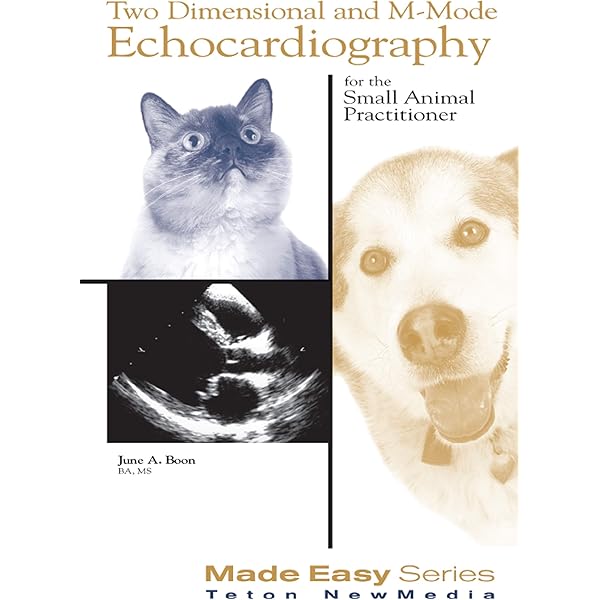 洋書 CARDIAC ARRHYTHMIAS in Dogs and Cats Cardiac Arrhythmias in Cats and Dogs: 250 Commented Clinical Cases PDF