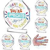 Menkxi Appreciation Acrylic Award 4.72" x 5.31" Large Appreciation Trophy Employee Trophies Award Christmas Party Gifts for Employees Coworkers Team End of Year Gifts