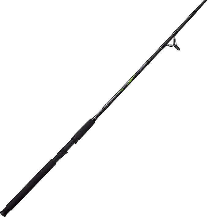 big cat fishing rods