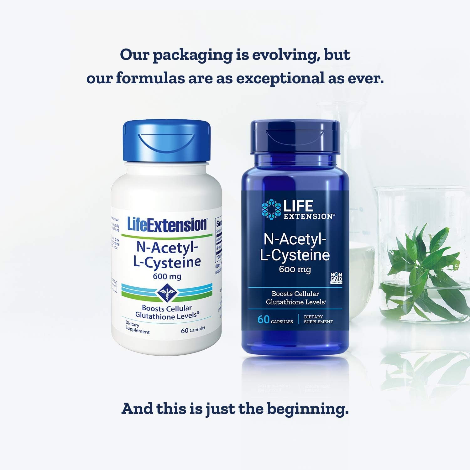 Life Extension N-Acetyl Cysteine 600 mg 60 Veg Caps 2 Pack: Health & Personal Care