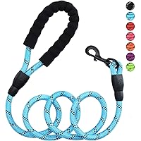 Petmegoo 5ft 1/2in Strong Blue Dog Leash for Large Dogs & Medium Size Dogs - Highly Reflective Heavy Duty Dog Rope Leash…