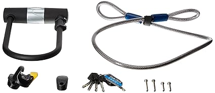 giant surelock protector 1 dt