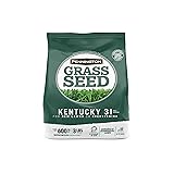 Pennington Kentucky 31 Tall Fescue Penkoted Grass