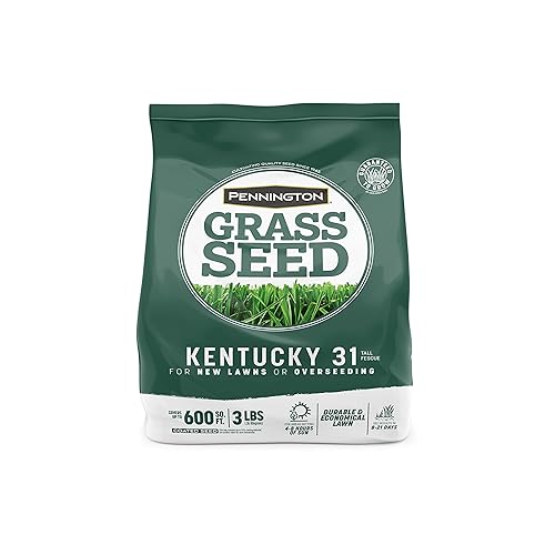 Pennington Kentucky 31 Tall Fescue Penkoted Grass Seed 3 lb