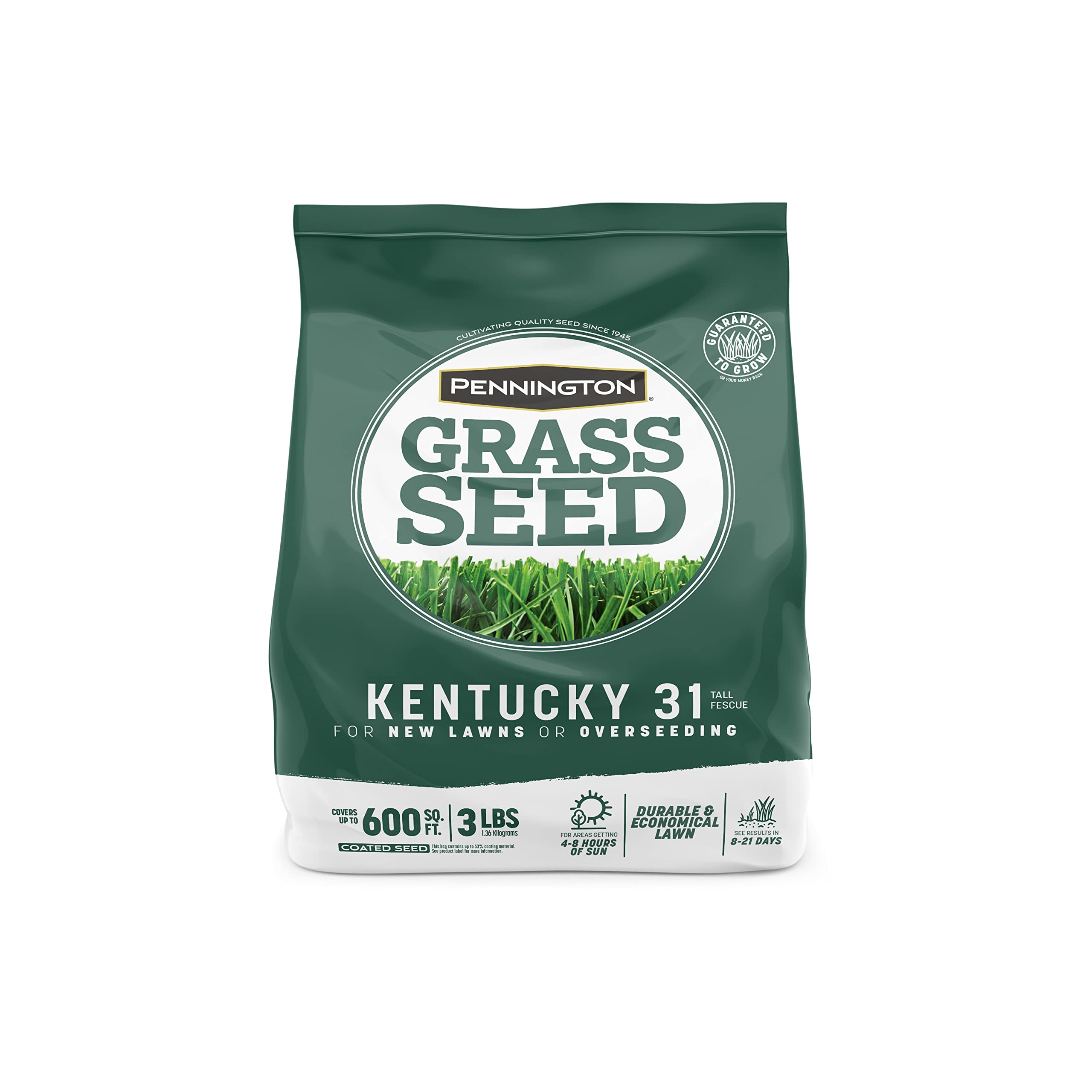 Photo 1 of Pennington Kentucky 31 Tall Fescue Penkoted Grass Seed 3 lb