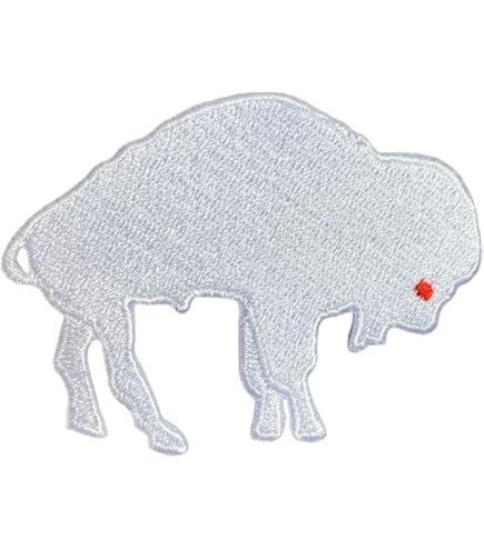 Patch Tactique American Bison – Brillant Dans Le Noir – SOLOMON – USA