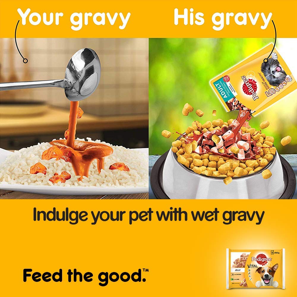 pedigree lamb jelly