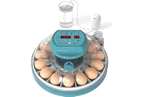Hethya Egg Incubator, Intelligent Incubator for Chicken Eggs with Automatic Humidity Control and Egg Turning, Temperature Control, 15 Eggs Incubator for Hatching Eggs&Quail Egg with Egg Candler