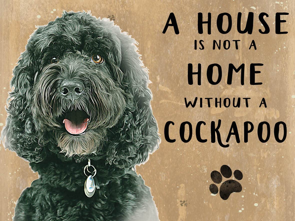 A House Is Not A Home Without A Black Cockapoo Metal Wall Sign