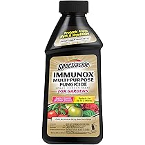 71LqgyKfZ5L._AC_UL210_SR210,