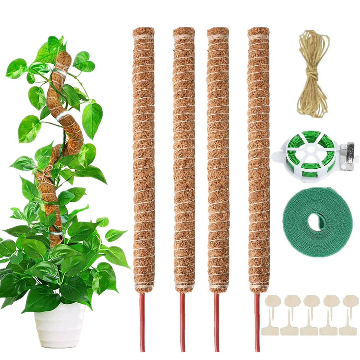 AIQII Pack of 4 70 cm plant sticks