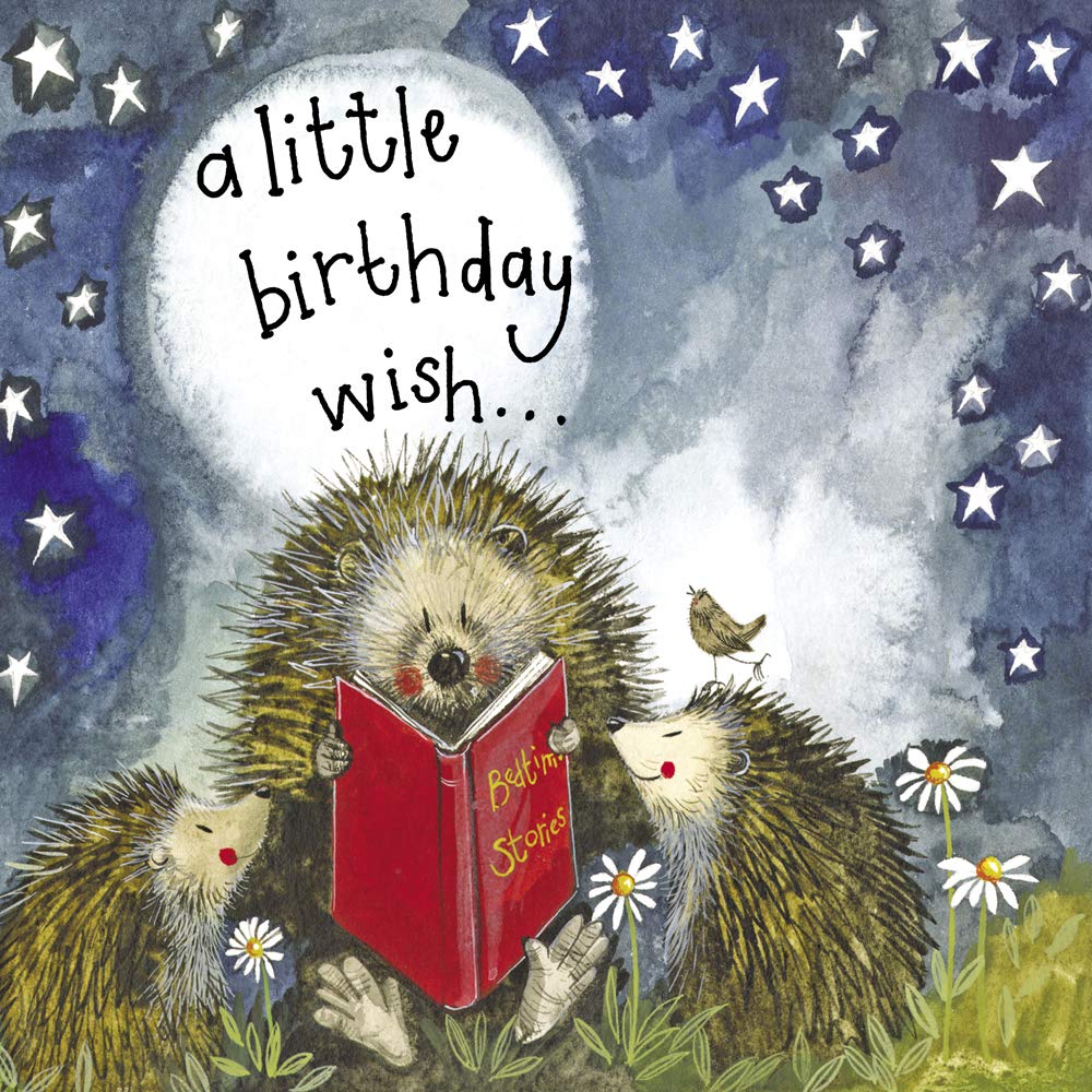 ALEX CLARK Hedgehog Storytime Birthday Card - British Wildlife - Countryside - Nature - Wildlife - Greeting Card - Cards To Celebrate - Designed and Printed in the UK…