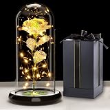 Touloube Galaxy Rose for Her in Glass Dome 20 LED Lights 22cm Gift