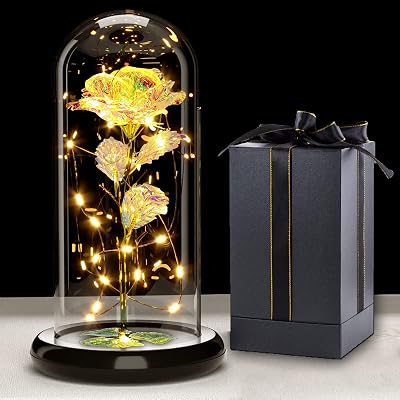 Touloube Galaxy Rose for Her in Glass Dome 20 LED Lights 22cm Gift