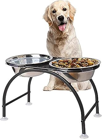 correct height for dog bowl