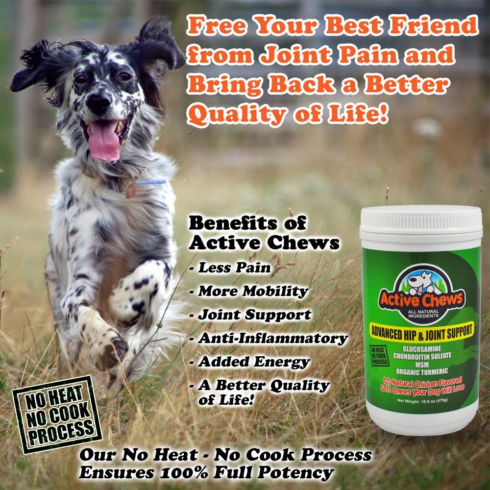 Active Chews Premium Hip and Joint Dog Treats, Glucosamine for Dogs