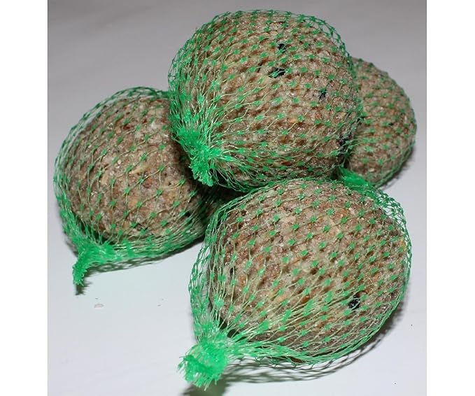 Meisenknödel 100 Stück Anhaltiner Premiumfutter