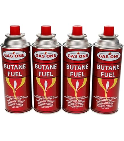 Amazon.com: Iwatani Butane Fuel Canister 4 Pack : Health