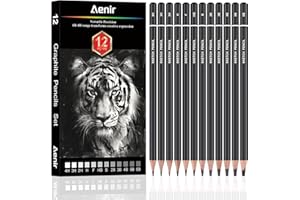 AENIR Sketch Pencils for Drawing, Set of 12 Drawing Pencils for Sketching Medium (6B - 4H), Artist Graphite Pencils, Sketch Set for Artists for Sketching Supplies, Art Supplies.