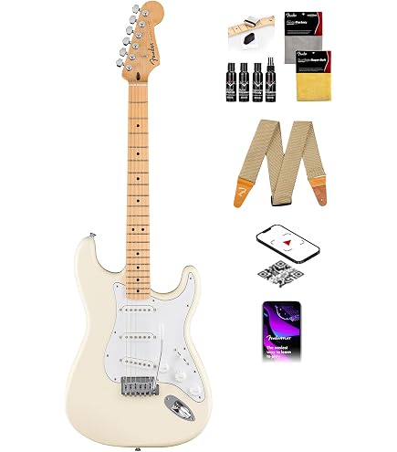 Amazon.com: Fender Fender Richie Kotzen Stratocaster Electric