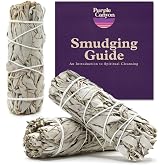 PURPLE CANYON White Sage Bundles - 3 Pack - Sage Smudge Stick for Home Cleansing Incense Healing Meditation and California Smudge Sticks Rituals - 4 Inch