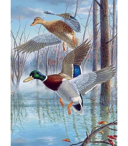 木製ダックパズル Amazon.com: WZVZGZ Adults Jigsaw Puzzle 1000 Piece Wooden