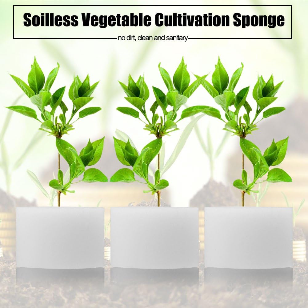Fdit Soilless Hydroponic Sponges, 50 Pack, 50x30mm, White, Vegetable Cultivation System, Plant Growth Accessories - Image 4