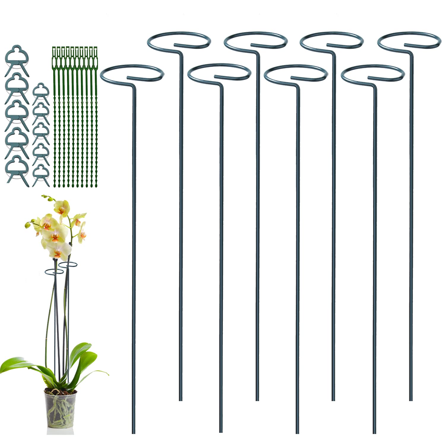 JIALWEN 8 Pack 40cm Plant Support Stakes, Garden Single Stem Metal Plant Support Stake with 10 Plant Ties and 10 Plant Clips for Flowers Tomatoes Lily Peony Rose Flower Stem