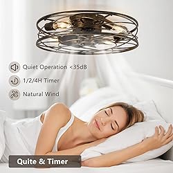Flush Mount Caged Ceiling Fan: 20" Caged Ceiling
