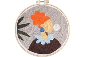 ZWZRAFT Punch Needle Kit for Begginer - Punch Needle Embroidery Starter Kit with Pattern, Punch Needle, Frame, Thread