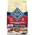 Blue Buffalo Blue Life Protection Formula Natural Adult Beef and Brown Rice Dry Dog Food, 24 lbs.