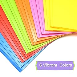 WOT I Heavy Duty Plastic Folders with Pockets and