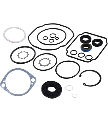 Amazon.com: Hydro-Gear 45074 Lip Seal Genuine Original Equipment