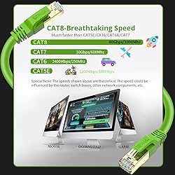 Cat8 Ethernet Cable 10FT, Indoor&Outdoor, Heavy