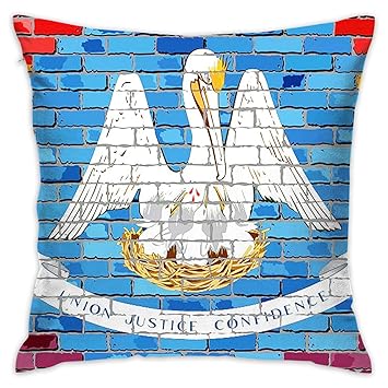 Amazon Com Sara Nell Velvet Throw Pillow Cases Brick Wall