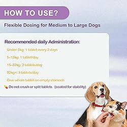 NUTRIARISE Same for Dogs – Advanced Liver Support