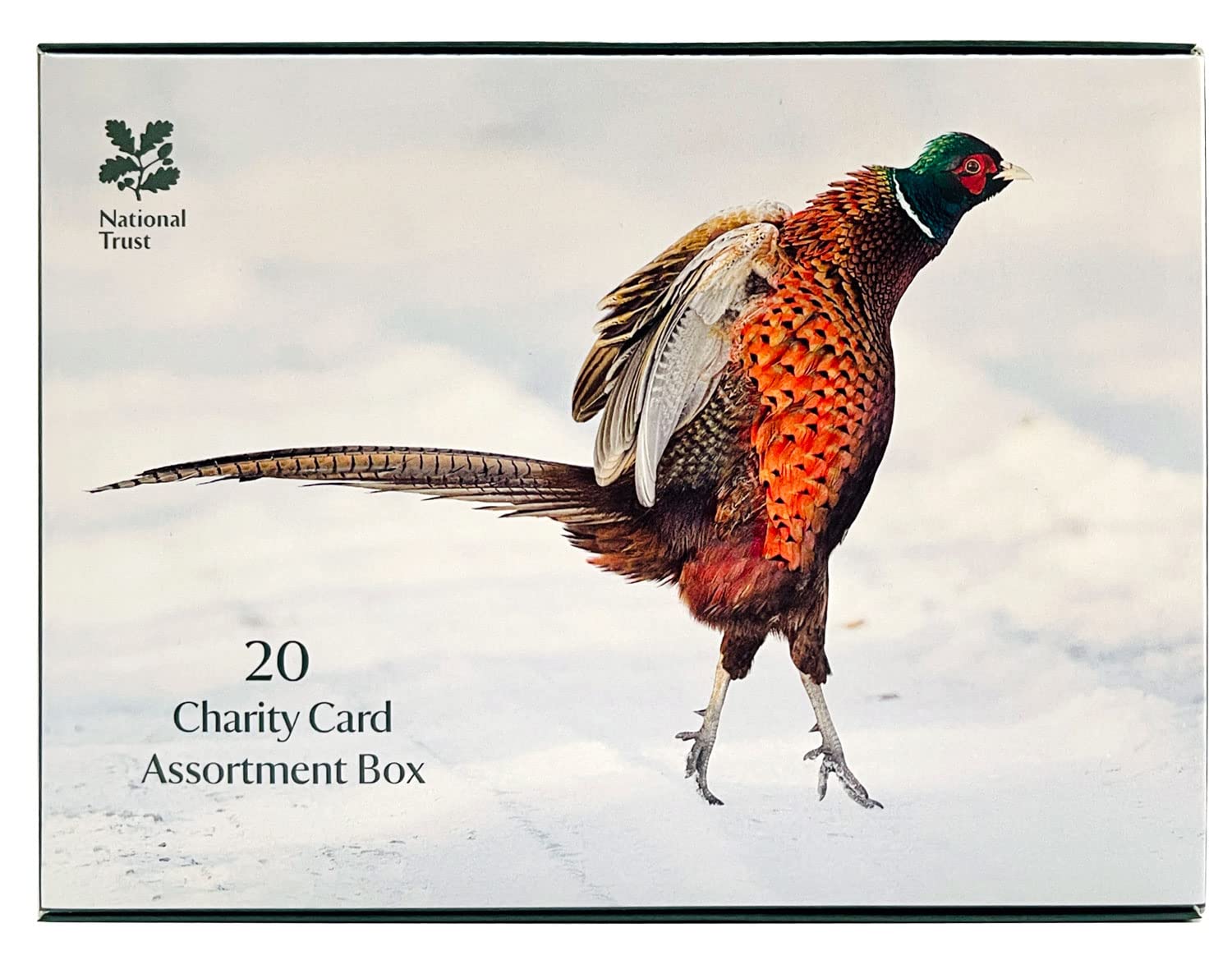Box of 20 National Trust Charity Christmas Cards