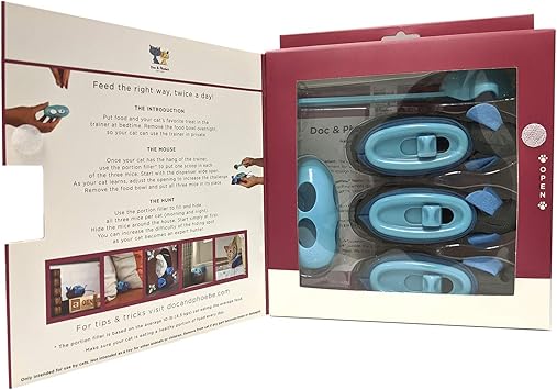 indoor hunting feeder cats