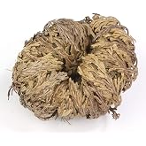 Incense Garden Rose of Jericho Flower The Resurrection Plant (1 Rose)