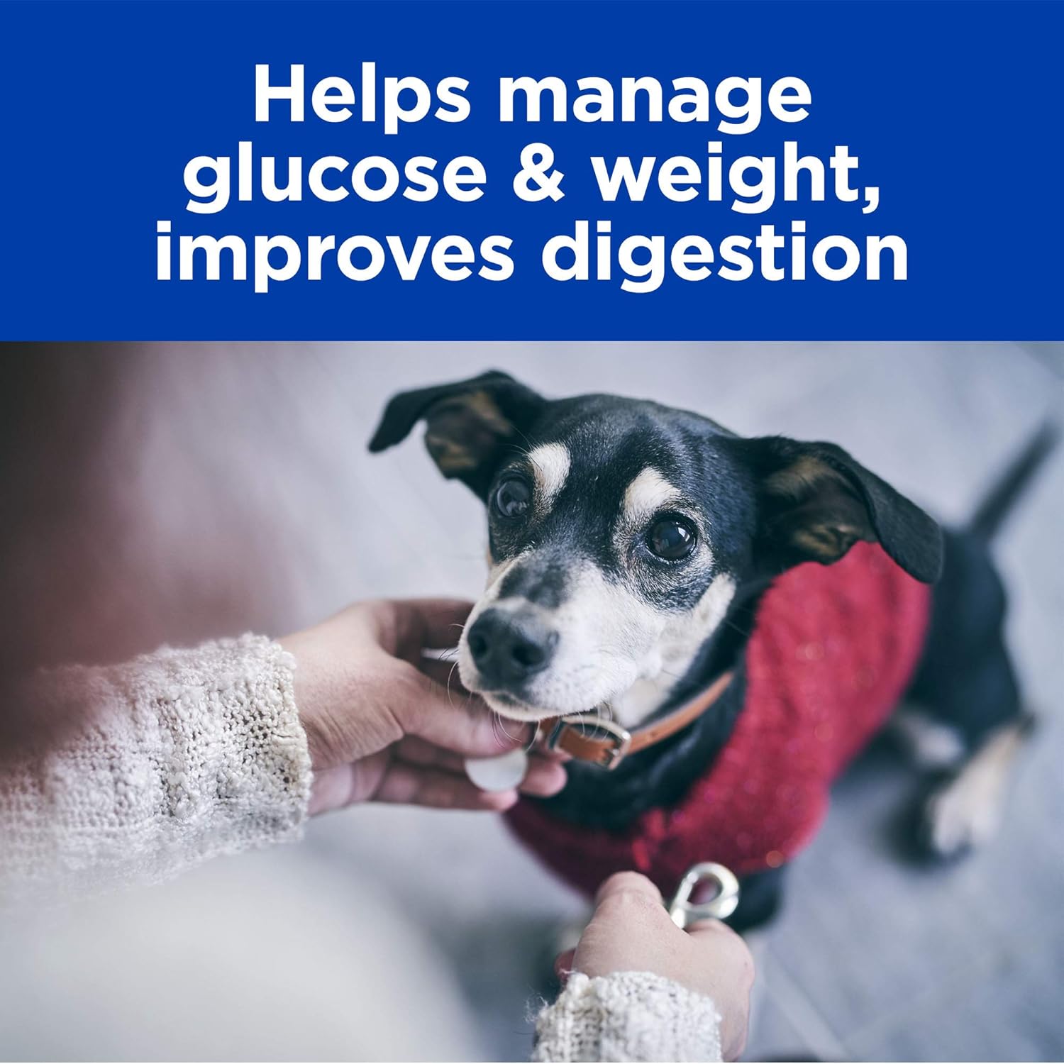 digestive weight glucose management dog food