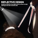 Joytale Padded Handle Dog Lead Double-Sided Reflective Nylon 1.2m Orange view 4