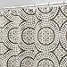 InterDesign Medallion Shower Curtain, Stall/54 x 78