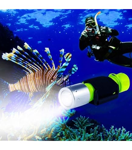 Light & Motion Sidekick Dive Arm Kit : Amazon.ca: Sports