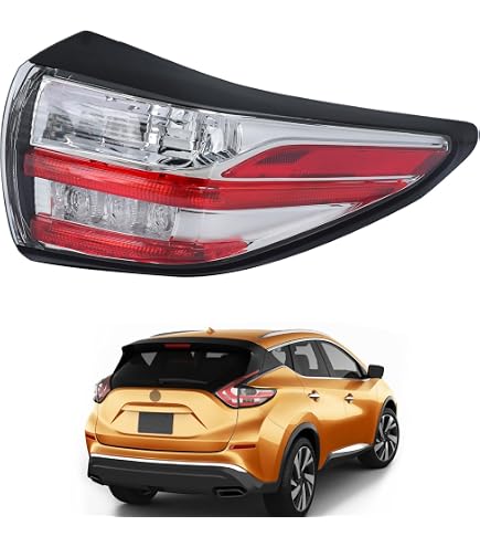 Amazon.com: Genuine Nissan Parts 26555-ZX00B Driver Side Taillight