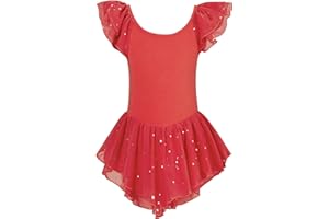 Idgreatim 2-9T Toddler Girls Ballet Leotard Kids Ballerina Oufit Ruffle Sleeve Dance Dress