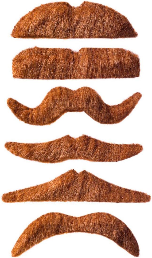 Download Lustige baerte bilder Free HD Lustige Baerte Bilder