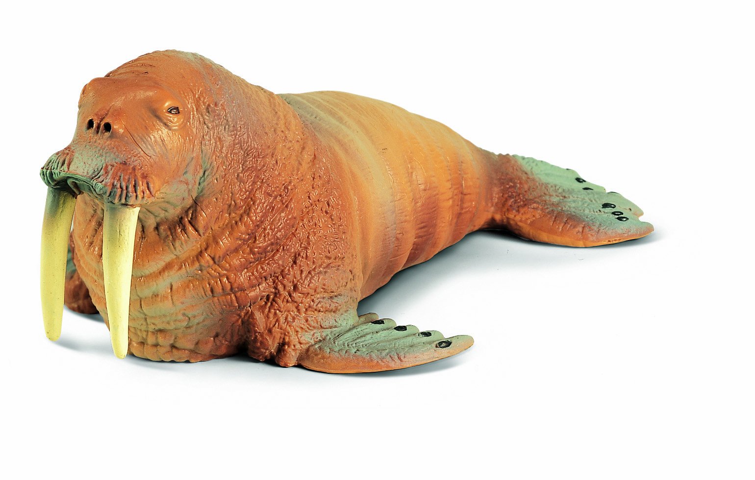 Schleich - Walrus 1:32 Scale (14cm)